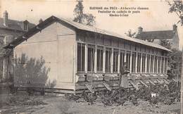 80-ABBEVILLE- ELEVAGE DES PRES, POULAILLER DE CONTRÔLE DE PONTE RHODES-ISLAND - Abbeville