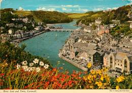 CPSM NEWQUAY - River Looe And Town   L3036 - Newquay