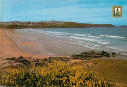 CPSM NEWQUAY - Fistral Beach And Pentire Headland   L3036 - Newquay
