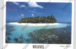 MALEDIVES, Atoll - Maldive