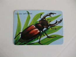 Insectes Insectos Lucane Cerf-Volant Portugal Portuguese Pocket Calendar 1989 - Small : 1981-90