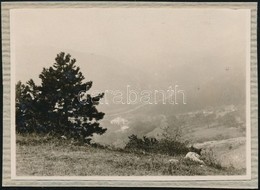 Cca 1929 Kinszki Imre (1901-1945) Budapesti Fotóművész Hagyatékából, Jelzés Nélküli, Vintage Fotó (ez A Szerző 34. Sz. F - Sonstige & Ohne Zuordnung