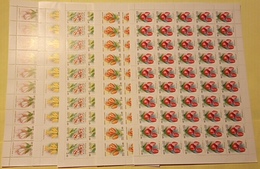 Russia 2001 Sheet Flora Tulips Flowers Plants Flower Canopus Khiberniya Tulip Plant Nature Stamps MNH Michel 889-893 - Fogli Completi