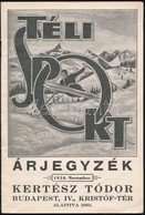 1928 Kertész Tódor Téli Sport árjegyzék. 43p. / Winter Sport Picture Booklet. 23 Cm - Werbung