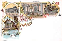 78-VERSAILLES- SOUVENIR - Versailles