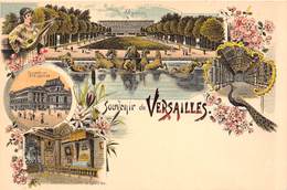 78-VERSAILLES- SOUVENIR - Versailles