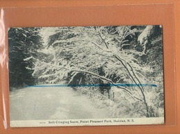 CPA - Soft Clinging Snow , Point Pleasant Park , HALIFAX , N S - Halifax