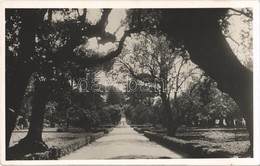 ** T2/T3 Castel Gandolfo, La Residenza Papale, Un Viale Della Villa / Papal Residence, Road To The Villa (fl) - Ohne Zuordnung