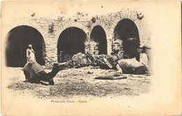 ** T2 Tunis, Fondouck Arabe / Caravanserai, Merchant With Camels, Folklore - Ohne Zuordnung