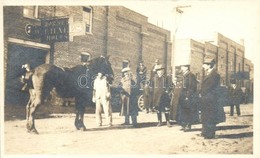 ** T1/T2 Horses W. T. Hales Mules, Photo - Ohne Zuordnung