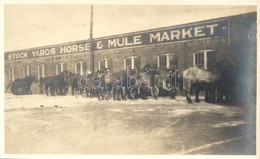 ** T2 Stock Yards Horse, Mule Market, Horses, Photo - Ohne Zuordnung