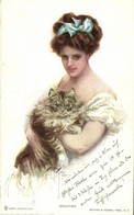 T2 Beauties / Lady With Cat, Reinthal & Newman Series. 401. S: Harrison Fisher - Ohne Zuordnung