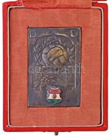 DN Labdarúgás Témájú Br Sport Emlékplakett Zománcozott Magyar Zászlóval, Dobozban (40x60mm) T:2 - Ohne Zuordnung