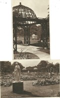 TWO REAL PHOTOGRAPHIC POSTCARDS - HARROGATE - ROYAL HALL GARDENS - PERGOLA AND STATUES - YORKSHIRE - Harrogate