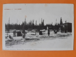 Carte Postale - Huskie Kennels , Goose Bay , Labrador - TCA 7 - Sonstige & Ohne Zuordnung