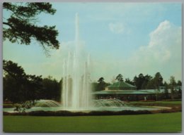 Walsrode - Vogelpark Walsrode 1   Wasserspiele Mit Blick Auf Papageienhaus - Walsrode