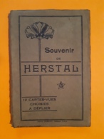 Carnet Dépliant - Souvenir De HERSTAL - Manque 1 Carte 11 Vues Au Lieu De 12 - - Herstal