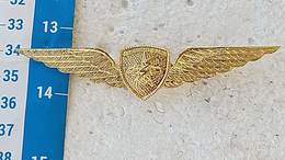 Argentina Argentine Police Highway Patrol Wings Badge Pin  #8 - Police & Gendarmerie