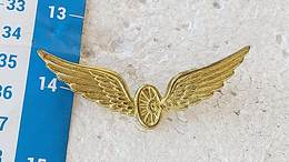 Argentina Argentine Police Highway Patrol Wings Badge Pin  #8 - Police & Gendarmerie