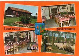 DEPT 40 : édit. Vignes N° 84 : Castets Des Landes : Ferme Restaurant  Buffet Champêtre - Castets