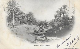 Tunisie - GABES - L' Oasis - Tunisia