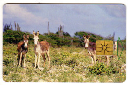 ANTILLES NEERLANDAISES BONNAIRE REF MV CARDS BON-13 Année 1999 ANE - Antillen (Nederlands)