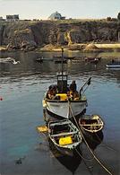 Ile De Houat          56         Bateaux De Pêche Dans Le Port   -  10x15       (Voir Scan) - Autres & Non Classés