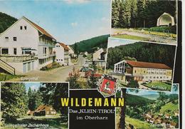 Wildemann - H6523 - Wildemann