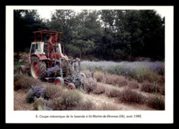 METIER - COUPE MECANIQUE DE LA LAVANDE A ST-MARTIN-DE-BROMES 1985 - PHOTO J.M. DURAND - MILLE ET UN TRAVAUX DE L'HOMME - Bauern