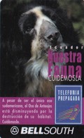 Ecuador, EC-BSP-103A, Oso De Anteojos, On Back: Caduca Noviembre 2000, 2 Scans. - Equateur