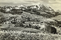 TROGEN Mit Altmannn Und Säntis (Einriss Oben) - Trogen