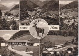 Sieber Harz - Herzberg