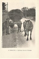 29 TREGUNC  ATTELAGE DE CHEVAL ET BOEUFS   CHARETTE TRANSPORT DE BOIS    ED LAUSSEDAT     ETAT NEUF - Trégunc