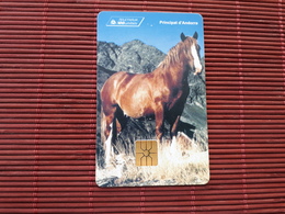 Phonecard Horse Used Only 20.000 EX MAde  Rare - Horses