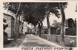 THUIR (Pyrénées-Orientales): Avenue De Millas - Altri & Non Classificati