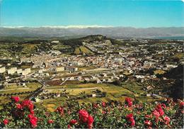 Delcampe - VALLAURIS - Vue Générale - Vallauris
