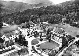 Delcampe - 68-TROIS-EPIS- VUE PANORAMIQUE AERIENNE - Trois-Epis