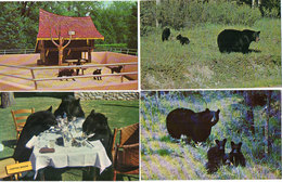 OURS - 4 CP - Black Bear - Storybook Gardens - (118852) - Ours