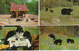 OURS - 4 CP - Black Bear - Storybook Gardens - (118853) - Ours