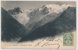 Finshauts - Glacier Du Trient - Trient