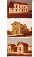 79 / MAUZE /  3 PHOTO VERITABLE  GARE 1982 - Mauze Sur Le Mignon