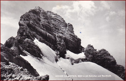 Dachstein * Gipfel, Schulter, Randkluft, Gletscher, Alpen * Österreich * AK2280 - Liezen