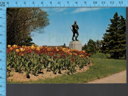 St. John - Newfoundland - Great War Memorial- Pub. National - Postcard Carte Postale - St. John's