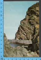 Gaspé Nord - Quebec - Etude Géologique Au Gros Morne - Pub. Unic - Carte Postale Postcard - Gaspé