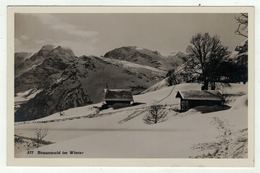 Suisse // Schweiz // Glaris // Braunwald Im Winter - Braunwald