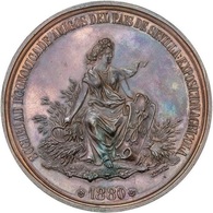 ESPAÑA. MEDALLA MEDALLA SOCIEDAD ECONÓMICA DE AMIGOS DEL PAÍS DE SEVILLA. 1.880. SPAIN MEDAL - Professionnels/De Société