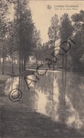 Postkaart - Carte Postale -LANKLAAR - Lanklaer-Stockheim - Coin De La Vieille Meuse  (A238) - Dilsen-Stokkem