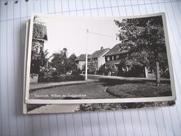 Nederland Holland Pays Bas Steenwijk Met Willem De Zwijgerstraat En Boom - Steenwijk