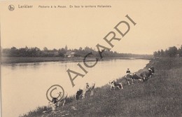 Postkaart - Carte Postale -LANKLAAR - Lanklaer - Pècherie à La Meuse (A205) - Dilsen-Stokkem