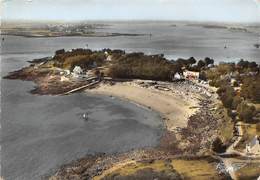 Port Navalo        56      Vue Aérienne . La Pointe Et La Plage - 1962 - 10x15         (Voir Scan) - Autres & Non Classés